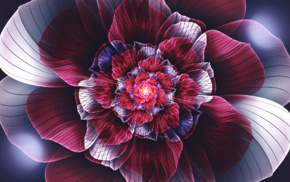 flowers, digital art, fractal, fractal flowers, petals, abstract