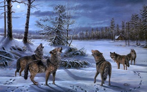 animals, wolf