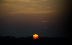 forest, sunset, Sun