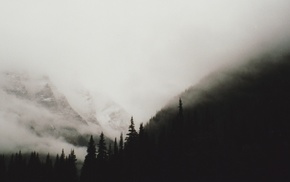 trees, monochrome, mountain, mist, landscape