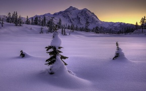 winter, mountain, landscape, snow, trees