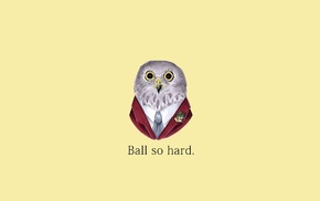 Kanye West, owl, quote
