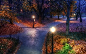 nature, New York City, fall, street light, walkway, evening