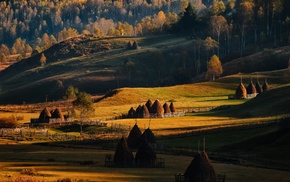 fence, nature, Romania, sunrise, field, fall