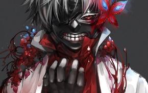 Tokyo Ghoul, Kaneki Ken