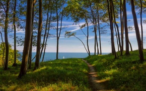 path, forest, blue, coast, trees, Germany