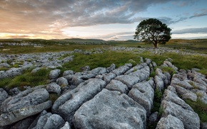 landscape, rock, nature