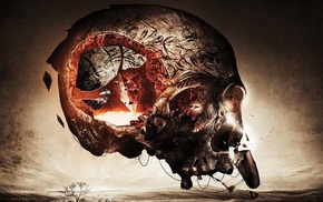 fantasy art, skull