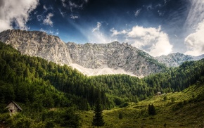 mountain, nature, landscape, forest