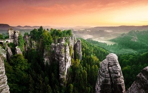 rock, nature, landscape, forest