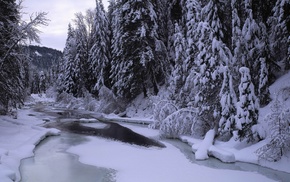 nature, river, landscape, ice, forest, snow