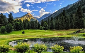 nature, park