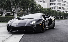 car, Lamborghini