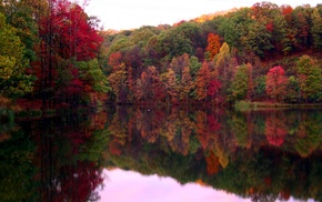 fall, lake, reflection, forest