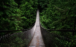 green, trees, bridge, landscape, nature