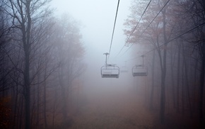 mist, landscape, trees, forest