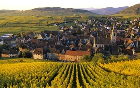 nature, field, building