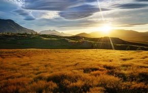 landscape, sunset, field