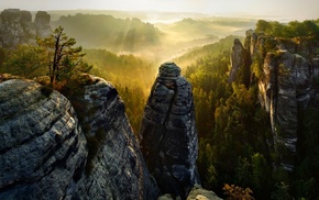 valley, forest, sunrise, Saxon Switzerland, mountain, sun rays