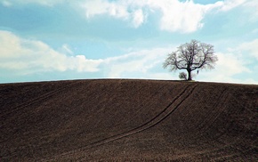 trees, field, suicide, landscape