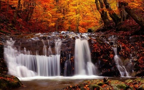 trees, waterfall, landscape, nature, river, fall