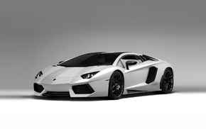 Lamborghini Aventador, Lamborghini, car