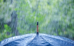 closeup, rain, umbrella