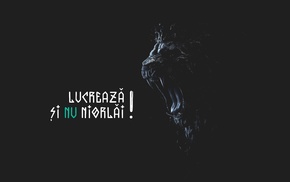 lucreaza, brilliancereview, lion