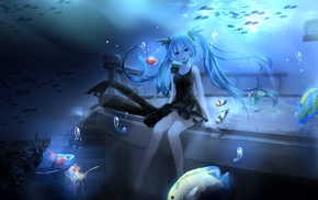 Hatsune Miku, Vocaloid, anime girls