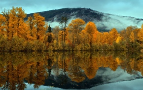 trees, landscape, reflection, forest, lake, nature