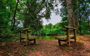 HDR, nature, forest, bench, trees, leaves