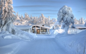 trees, landscape, nature, snow