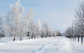 trees, landscape, nature, road, snow