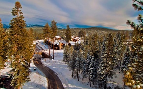 snow, landscape, nature, road, forest