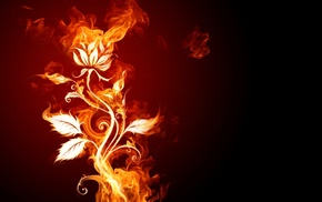 fire, flowers