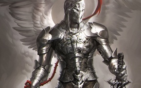 armor, wings