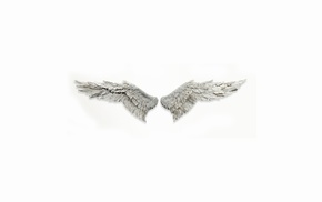 wings, white background