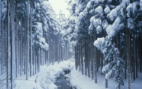 river, snow, forest, trees