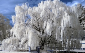 snow