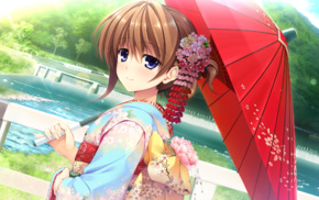 Japanese umbrella, kimono, anime girls