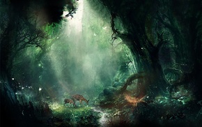 fawns, forest