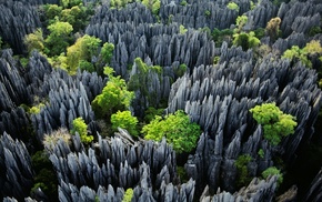 Madagascar, tropical, erosion, limestone, landscape, trees