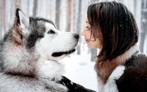 smiling, dog, animals, Alaskan Malamute, water, night