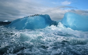 snow, penguins, Antarctica, animals, nature, waves