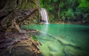 waterfall, roots, green, landscape, forest, nature