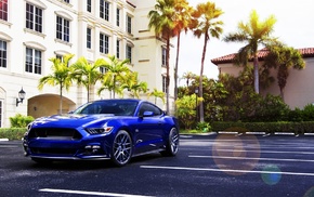 blue cars, Ford Mustang, car, palm trees