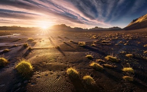 landscape, desert, nature, sunset, grass, mountain