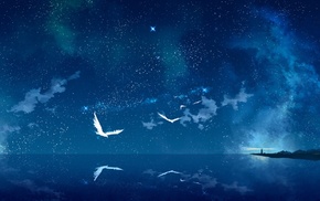 fantasy art, birds, stars