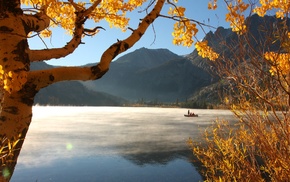 forest, mountain, nature, lake, trees, fall