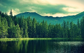 nature, landscape, forest, lake